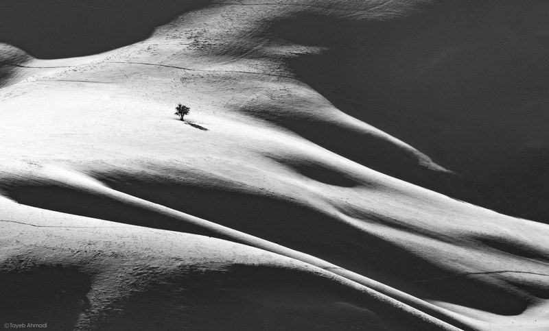 Tree and mountain фото превью