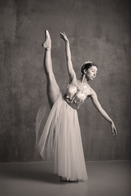 ballet,ballerina,dance,amazing,beauty,woman,female,балет,балерина,танец,красота, движение,женщина, Балет фото превью