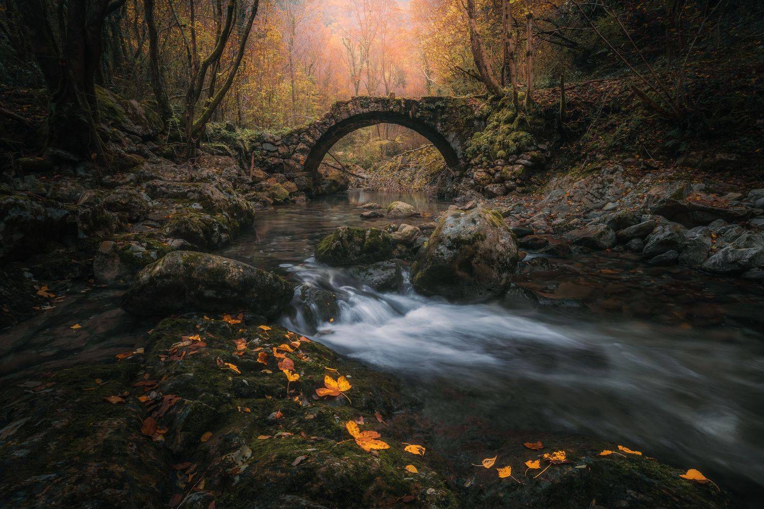 , Thomas de Franzoni