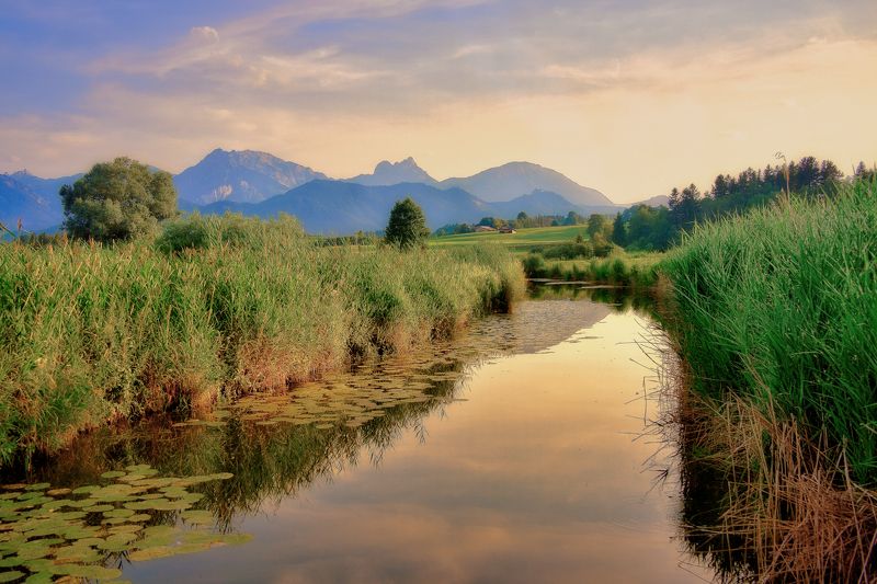 Из меди закат фото превью