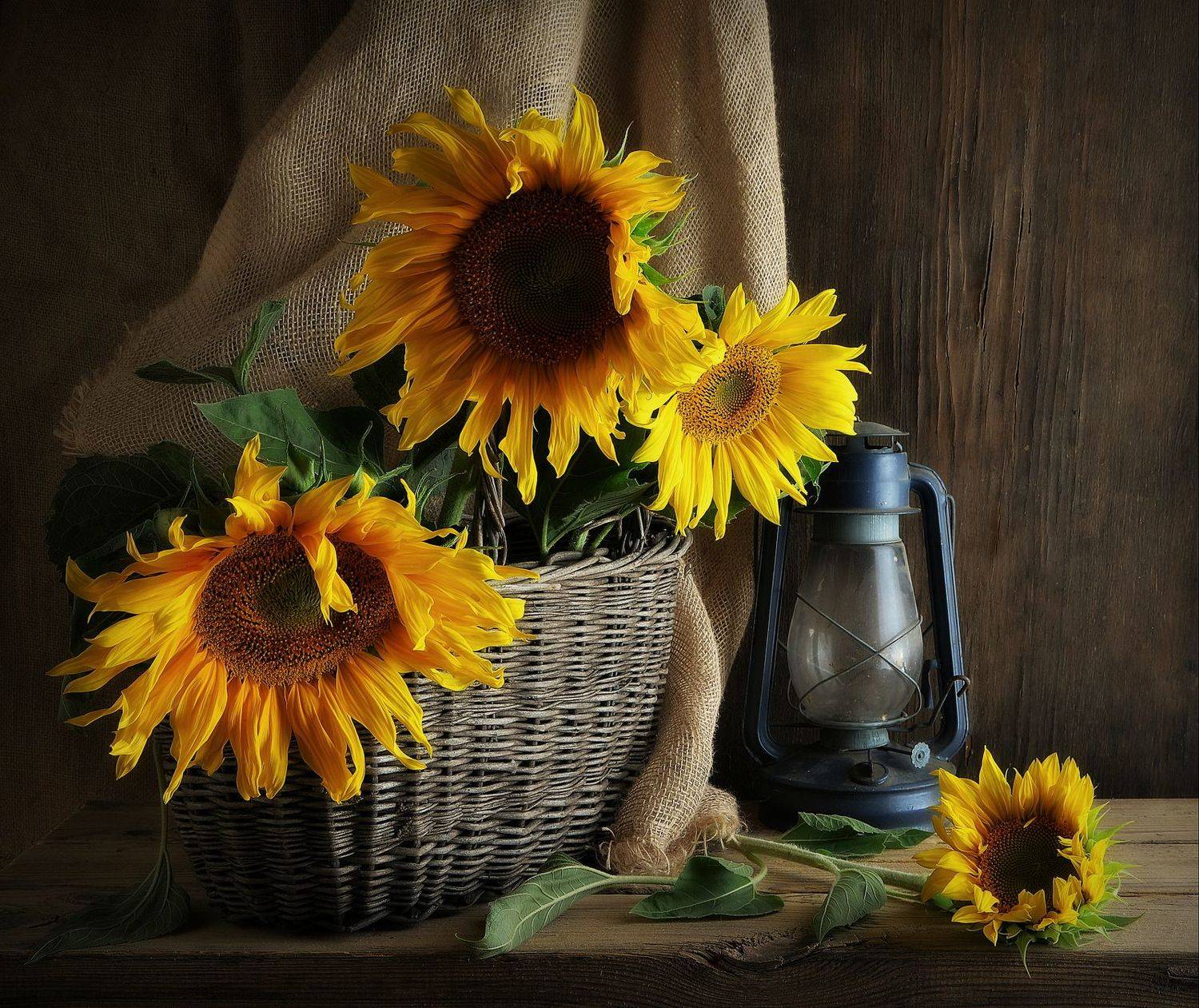 сергей алексеев, натюрморт, Сергей Алексеев