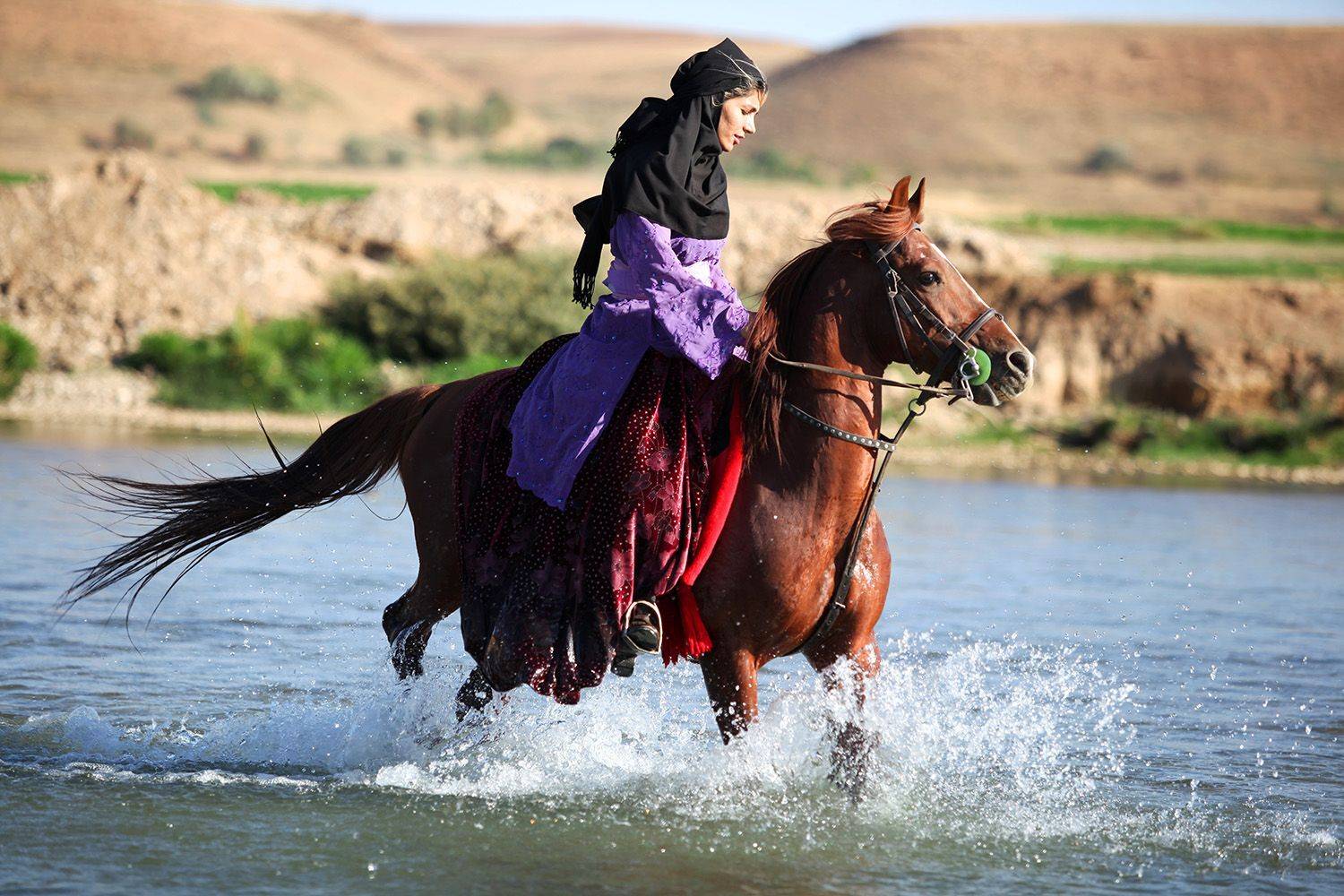 , mehdi karimi souderjani