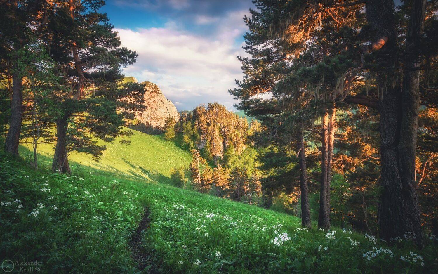 тхач, ачешбоки, Александр Круль