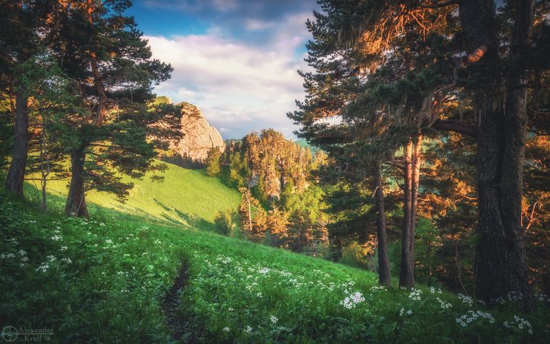 тхач, ачешбоки Запутался вечер в соснах фото превью
