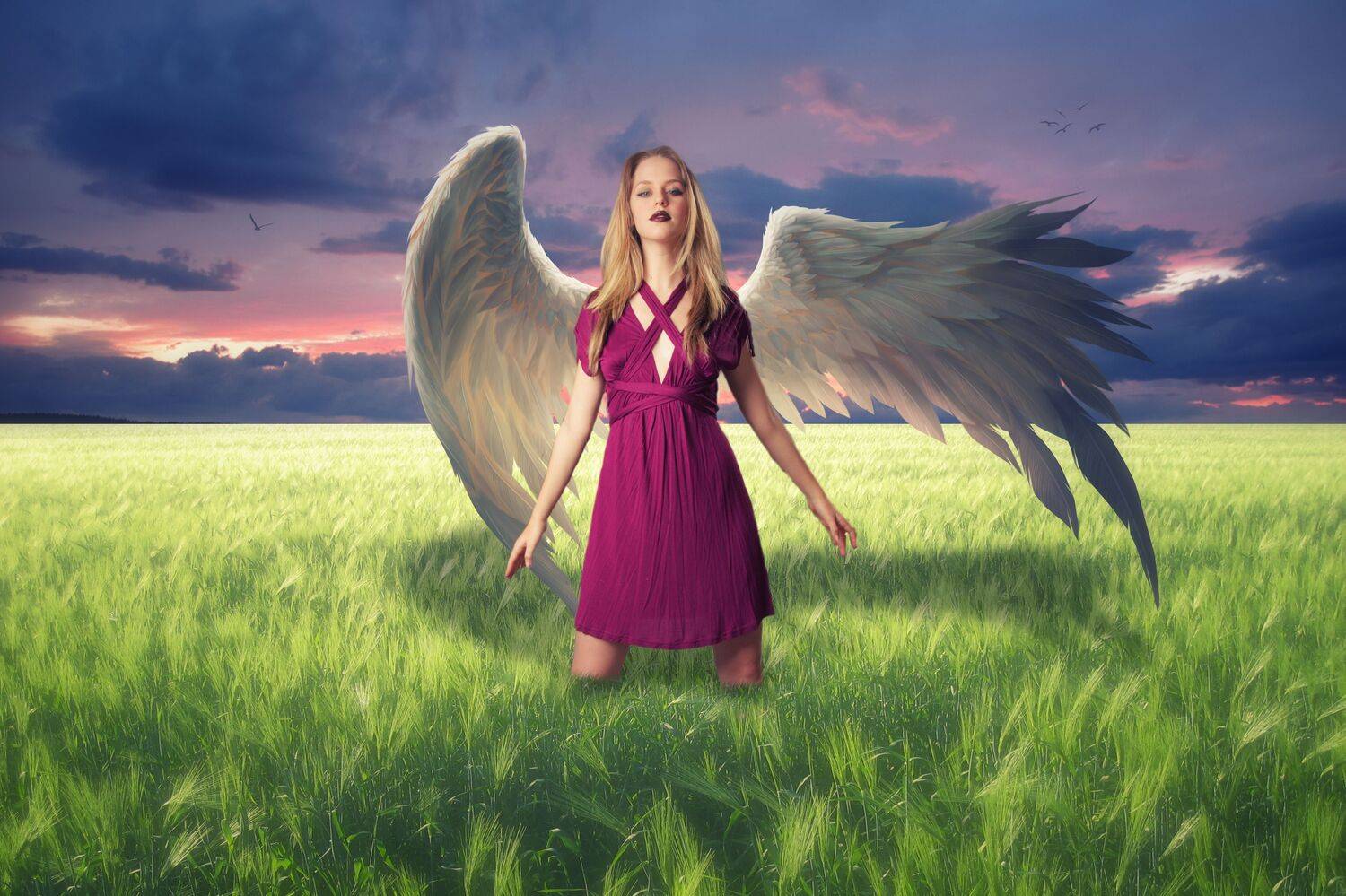 ангел, поле, Sergii Vidov