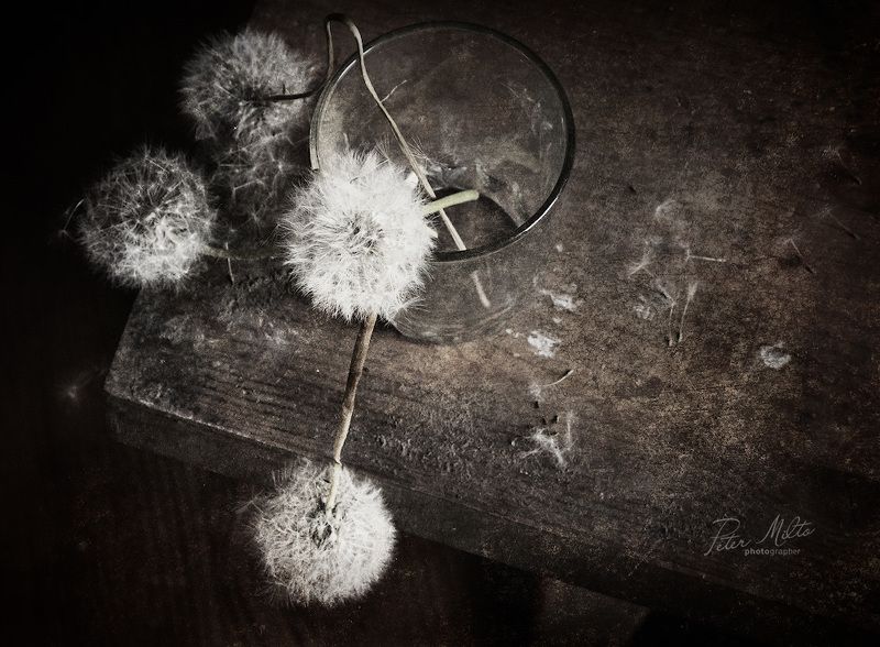 /// фото превью