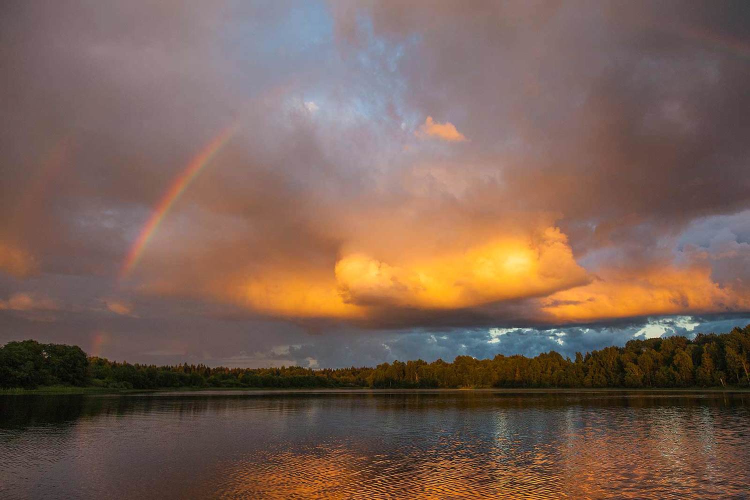 , Напалкин Станислав