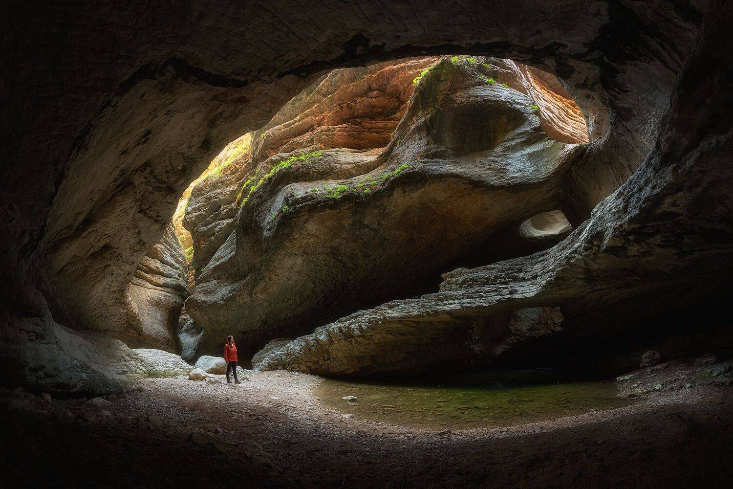 , Константин Маланин