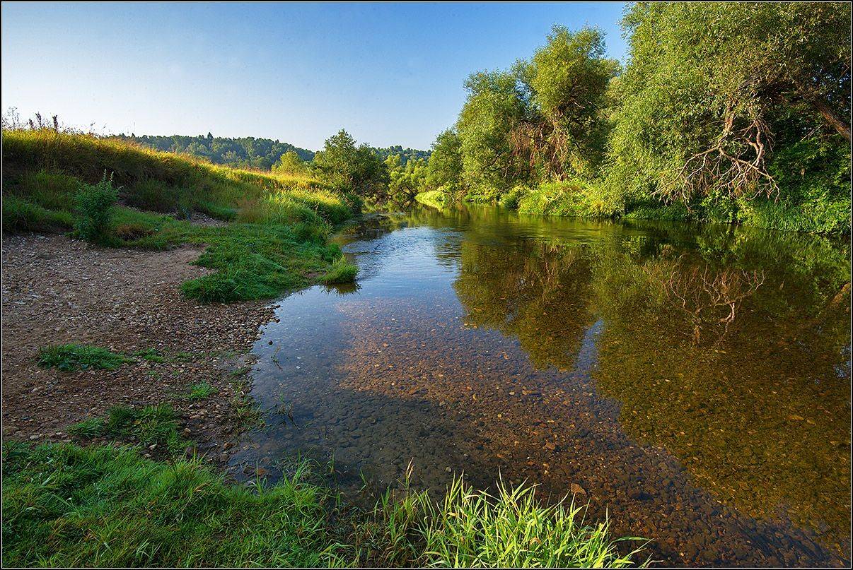 калужская обл. р. протва, утро, АНАТОЛИЙ ДОВЫДЕНКО