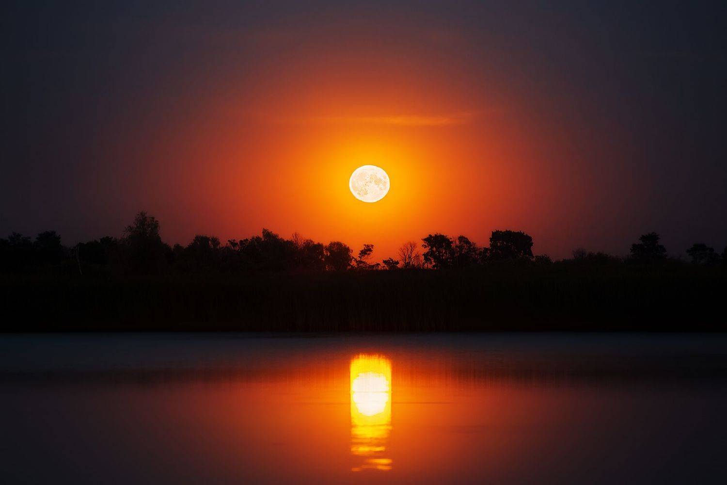 , Vyacheslav Lozhkin