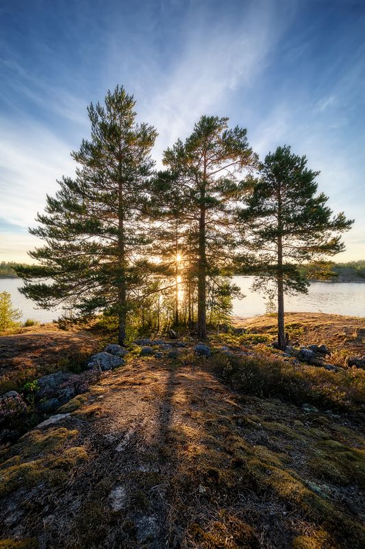 Ладога фото превью