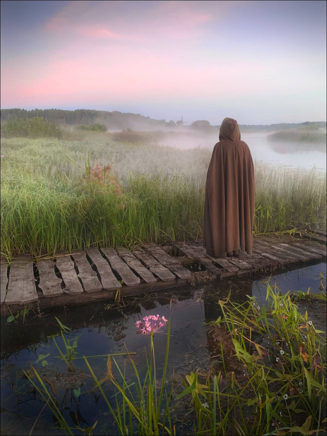 пушкин, псков,  пушкинские горы, михайловское, усадьба, савкино, тригорское, петровское, бугрово, мельница, лето,туман,, Влад Соколовский