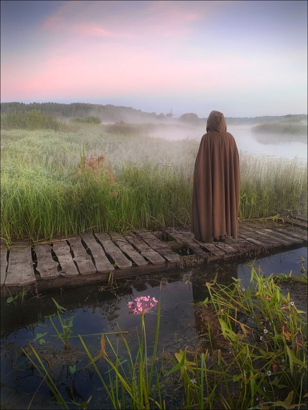 пушкин, псков,  пушкинские горы, михайловское, усадьба, савкино, тригорское, петровское, бугрово, мельница, лето,туман, Тени прошлого .. фото превью