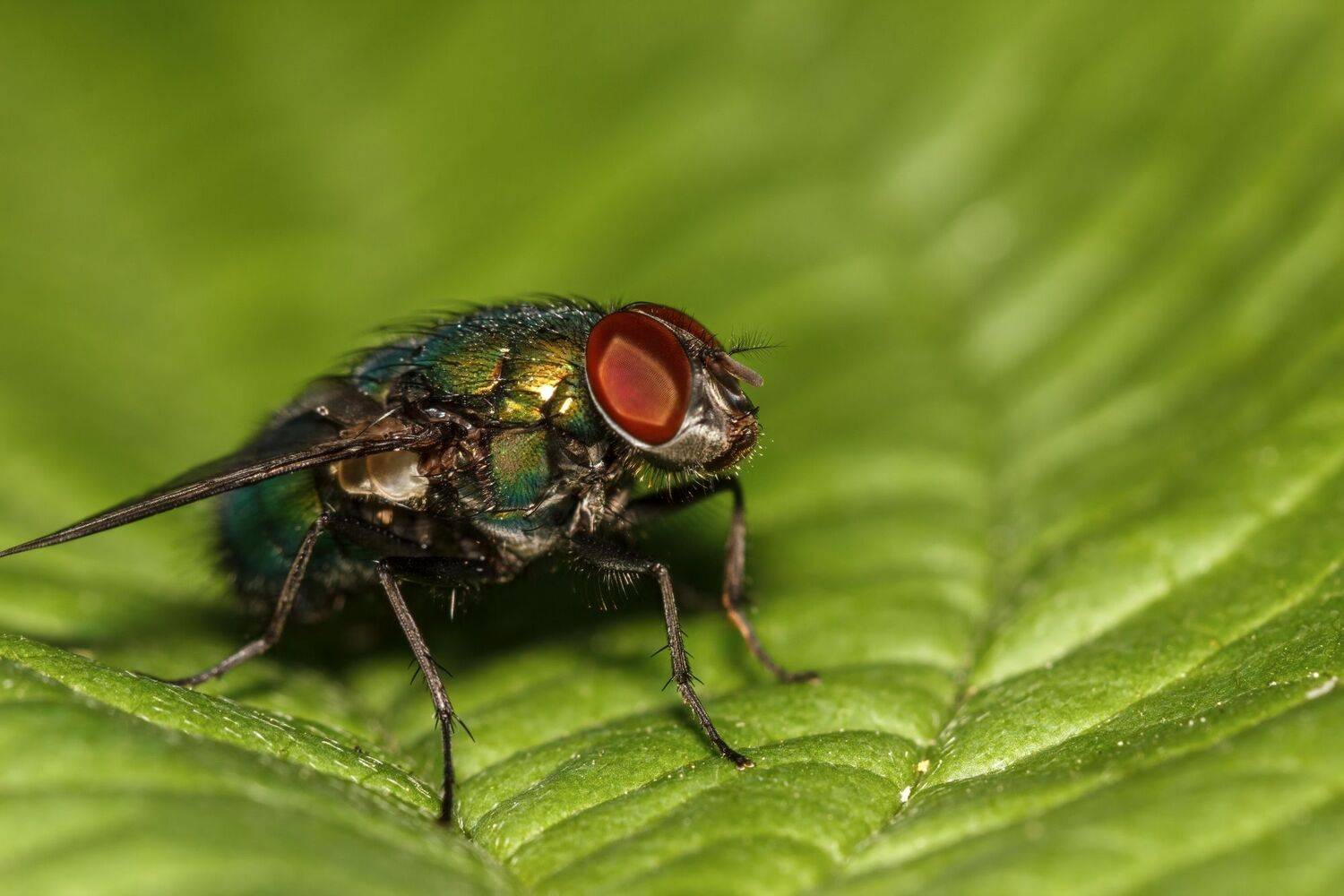 , Котов Андрей