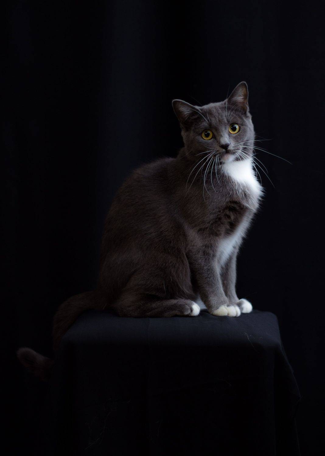 , Тамара Аржанова