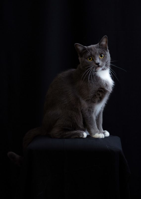 Дыма фото превью