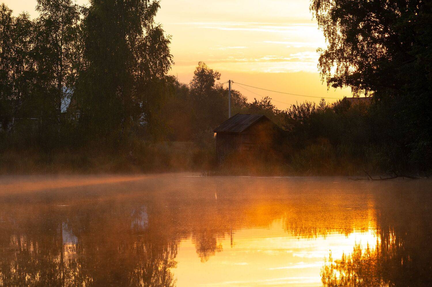 , Виталий Стрельцов