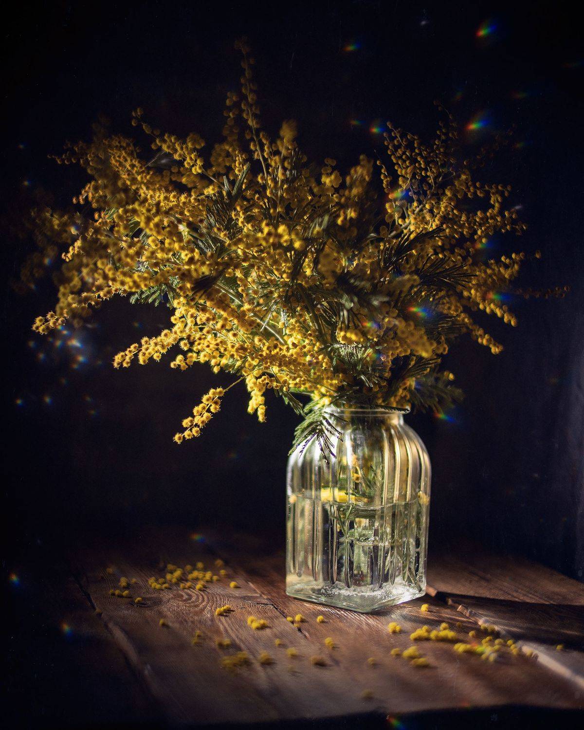 мимоза натюрморт зенитар, Тата Бакбак