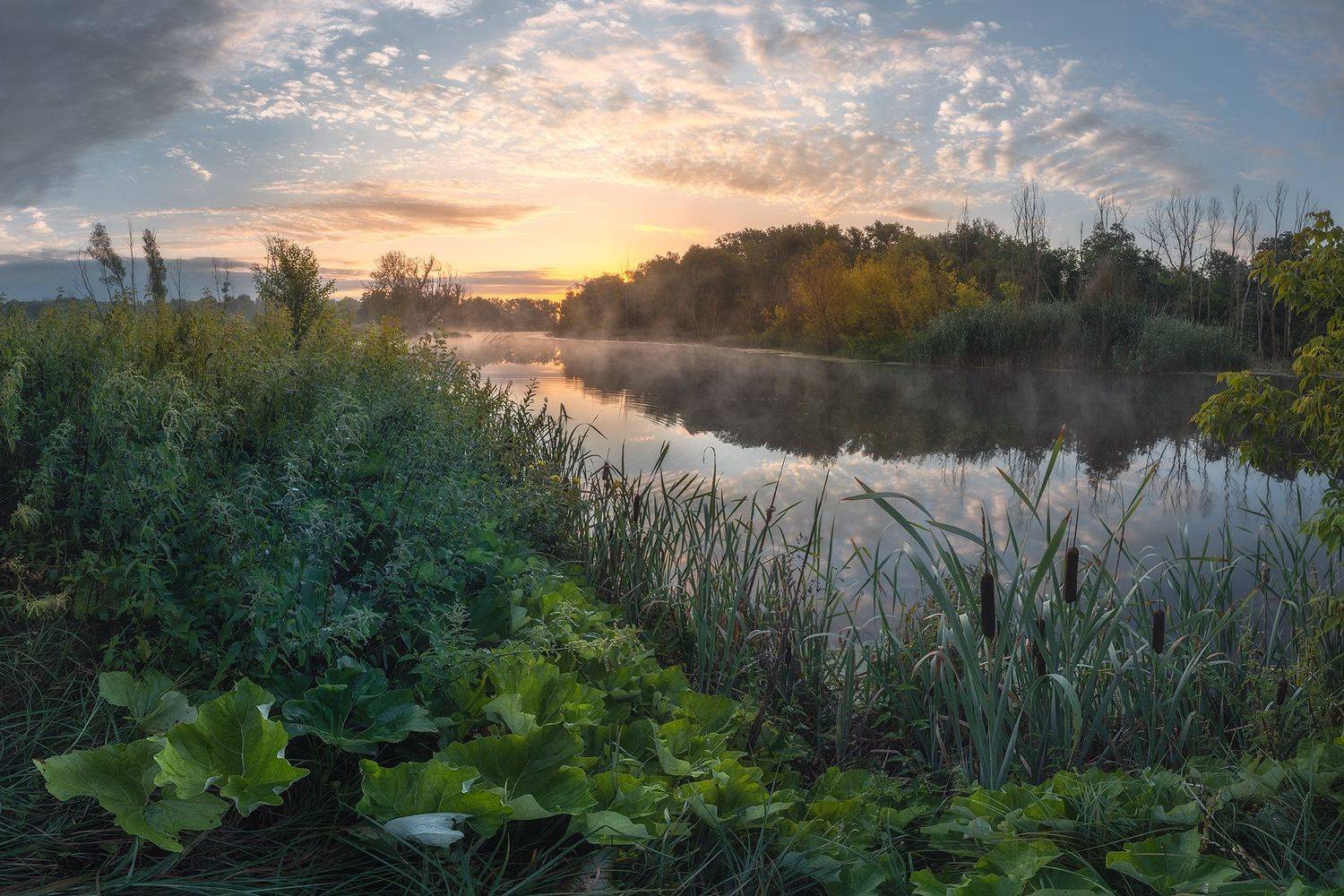 , Alexander Dvorichanskiy