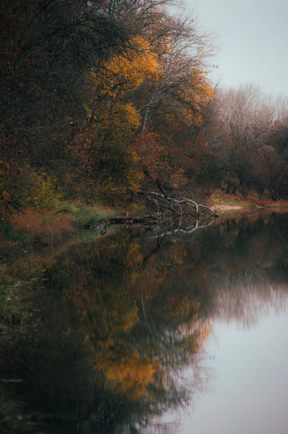 landscape, pond, nature, autumn, forest, tree, yelow,, Бугримов Егор