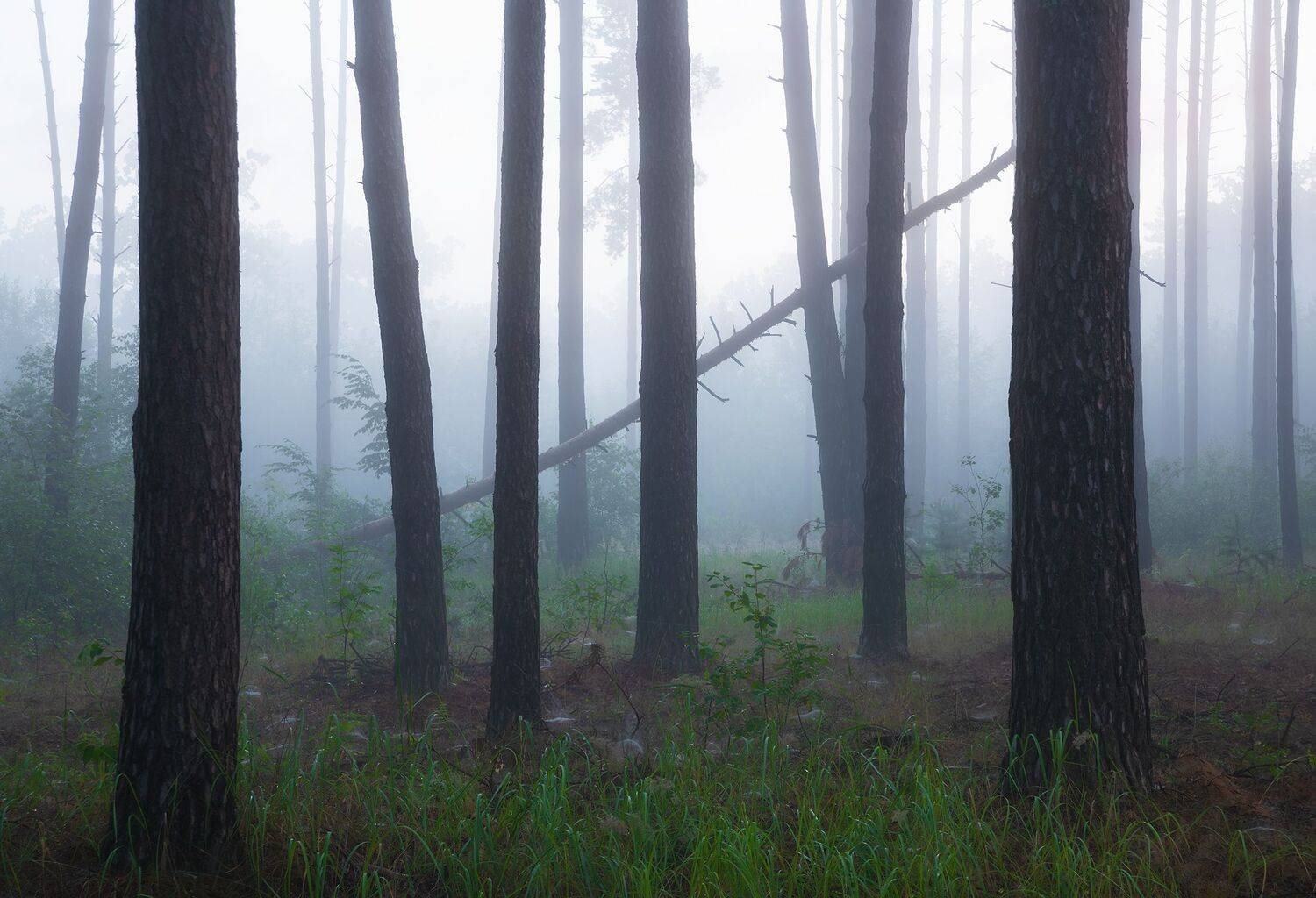 , Захаров Дмитрий