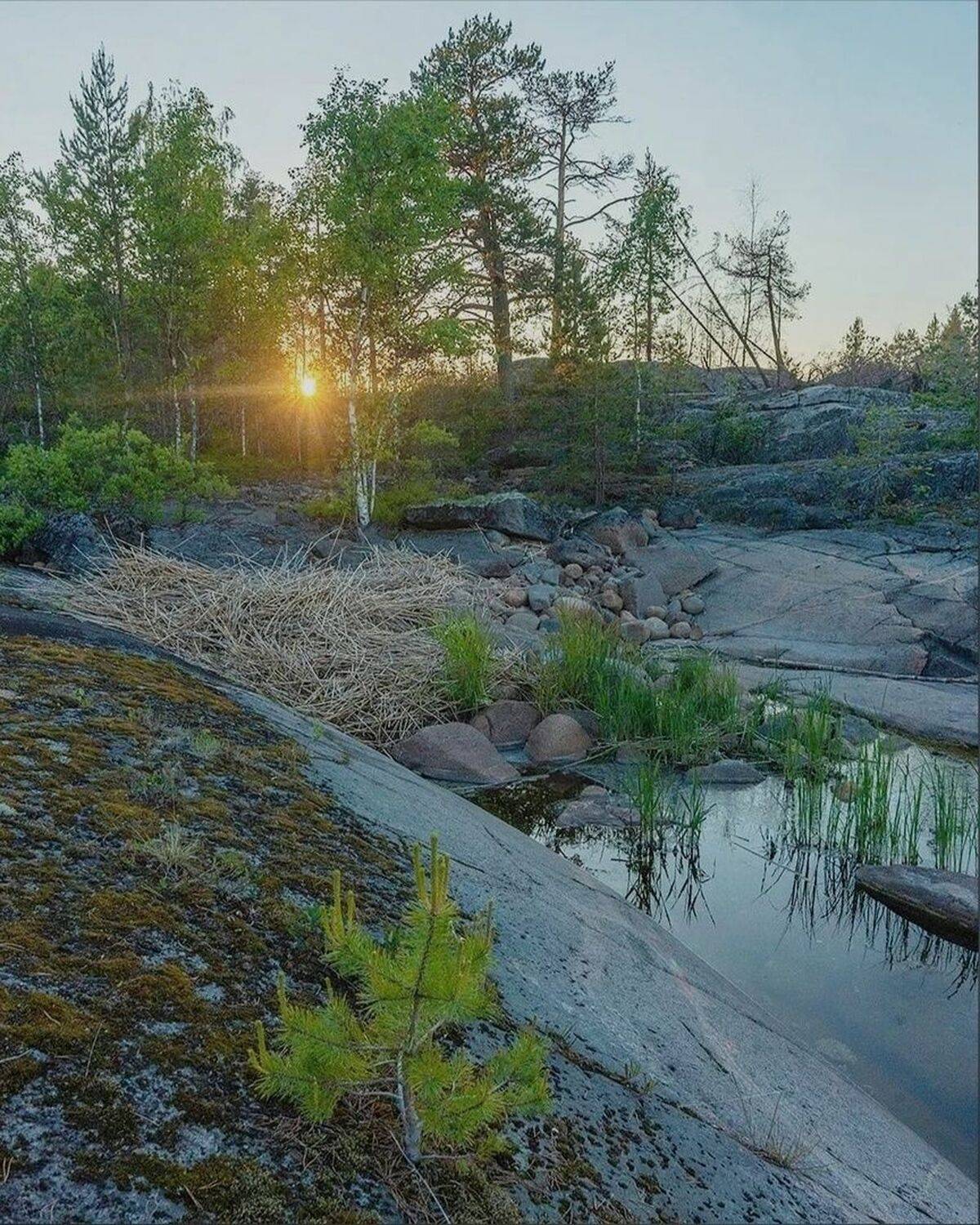 , Петр Косых