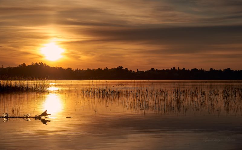 летние рассветы фото превью