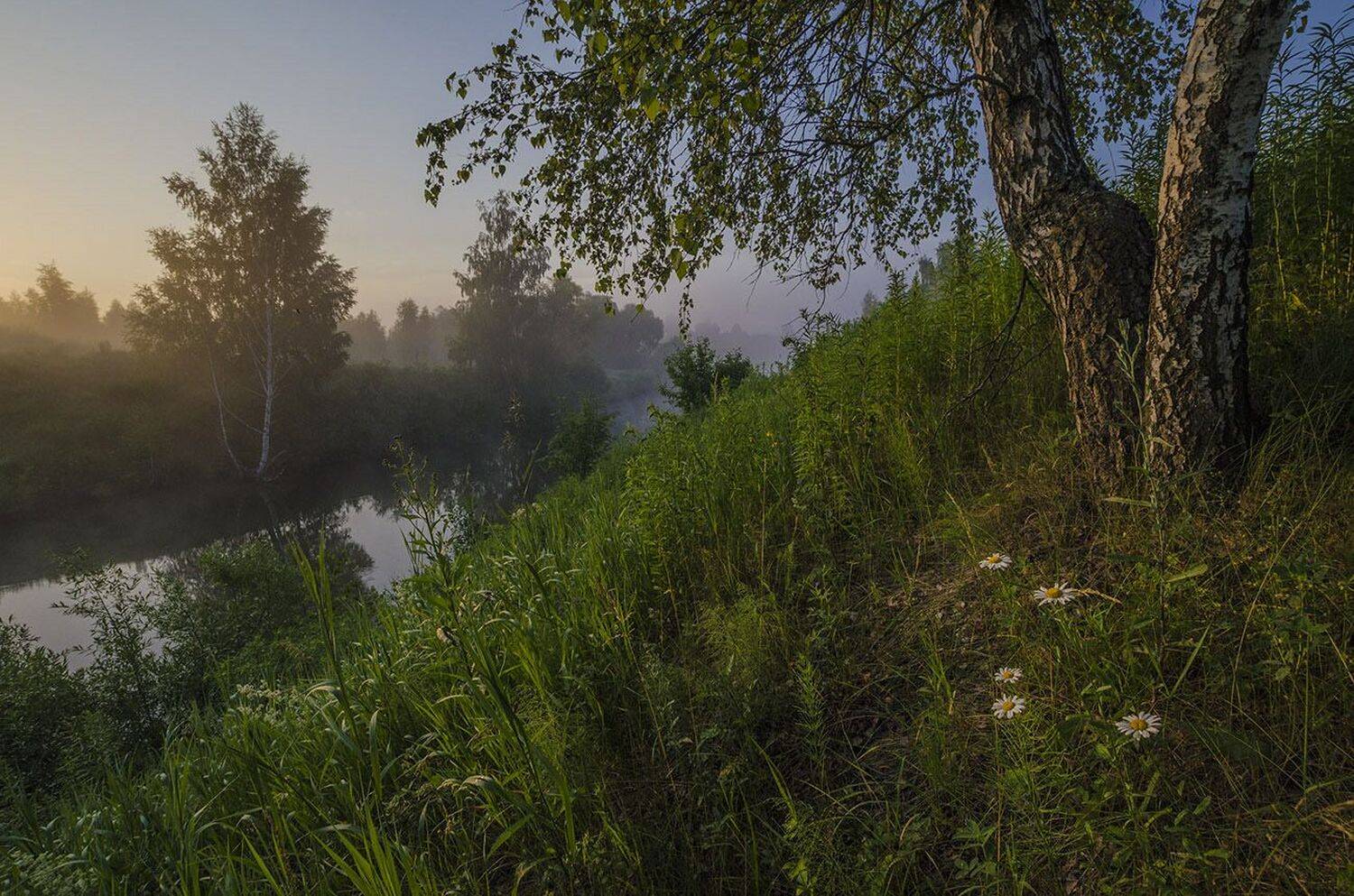 утро, лето, большие байдики, Михаил Агеев
