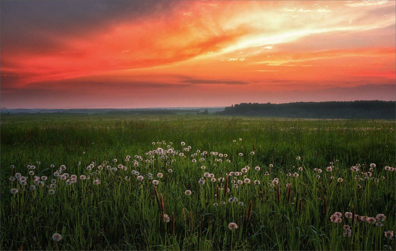 пейзаж, вечер, туман, свет, цвет, деревня, лето, александр никитинский, Никитинский Александр