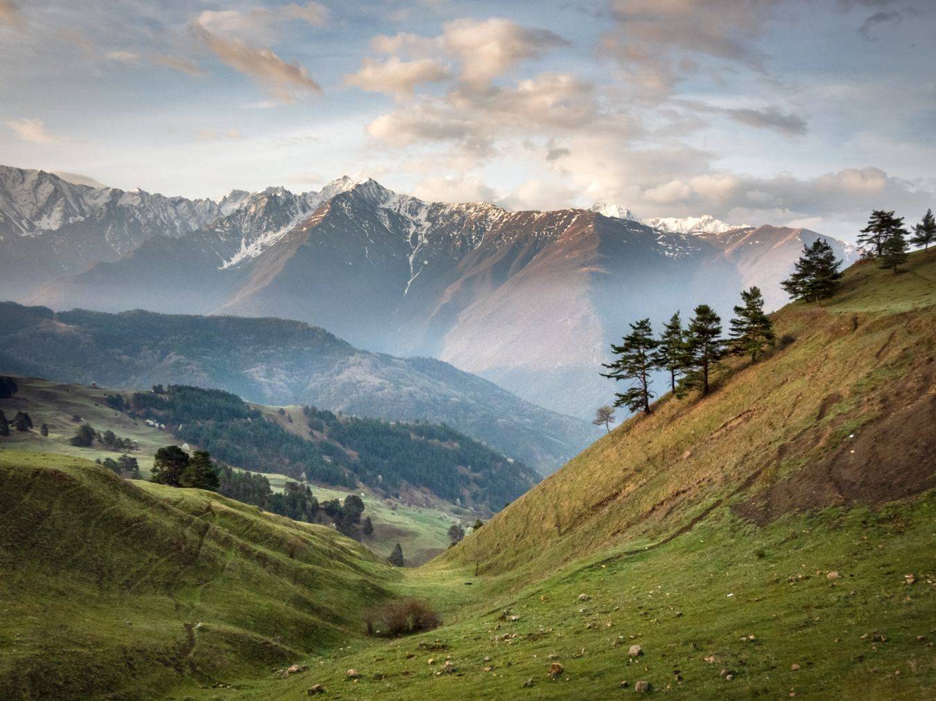 , Лесина Елена