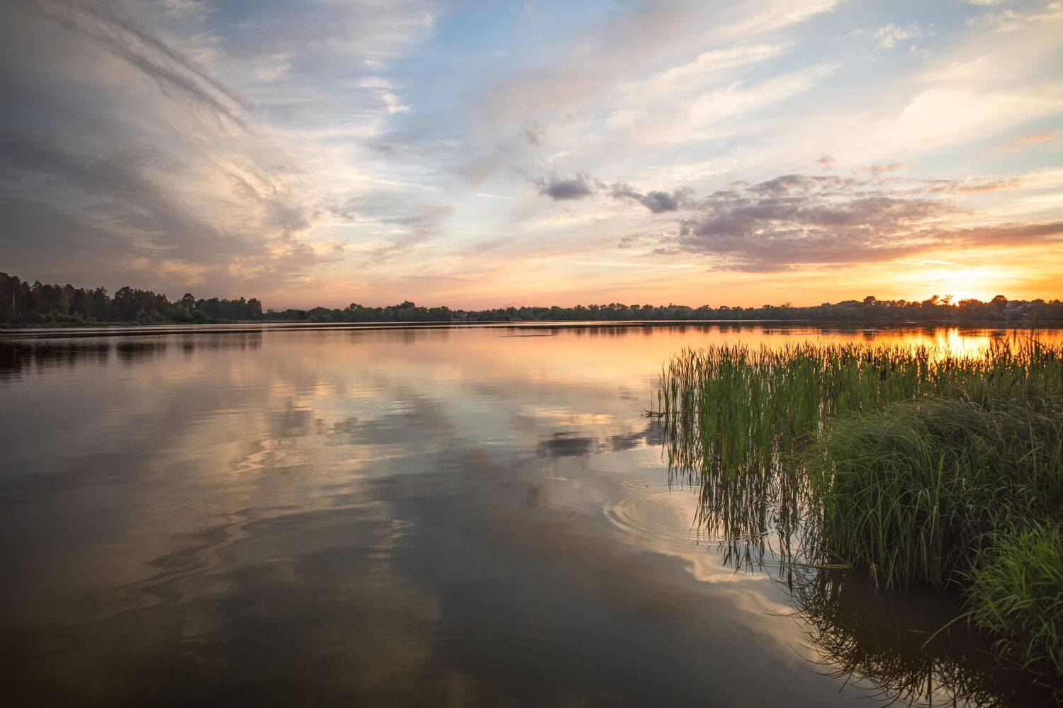 лето, вечер, закат, озеро, небо, облака, отражение, Виталий Полуэктов