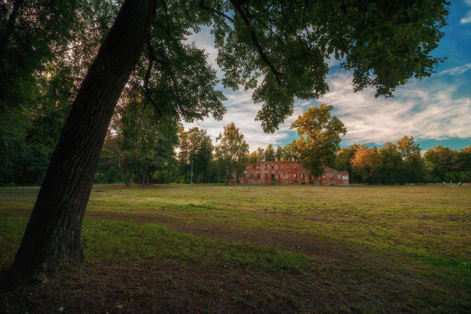 , Котов Андрей