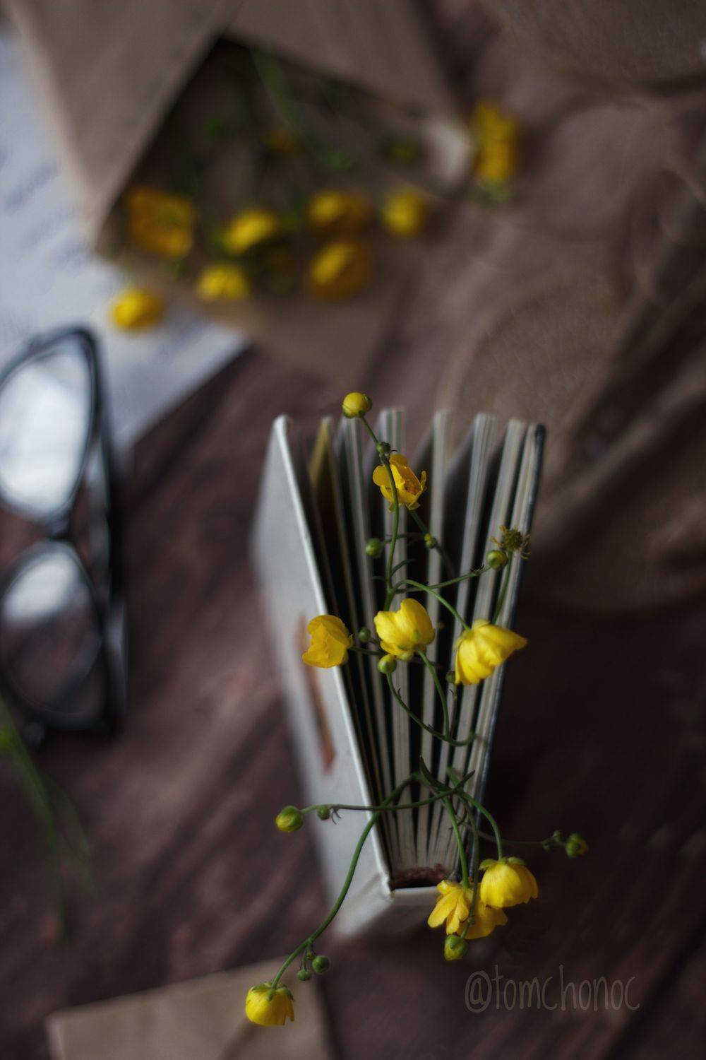 , Тамара Аржанова