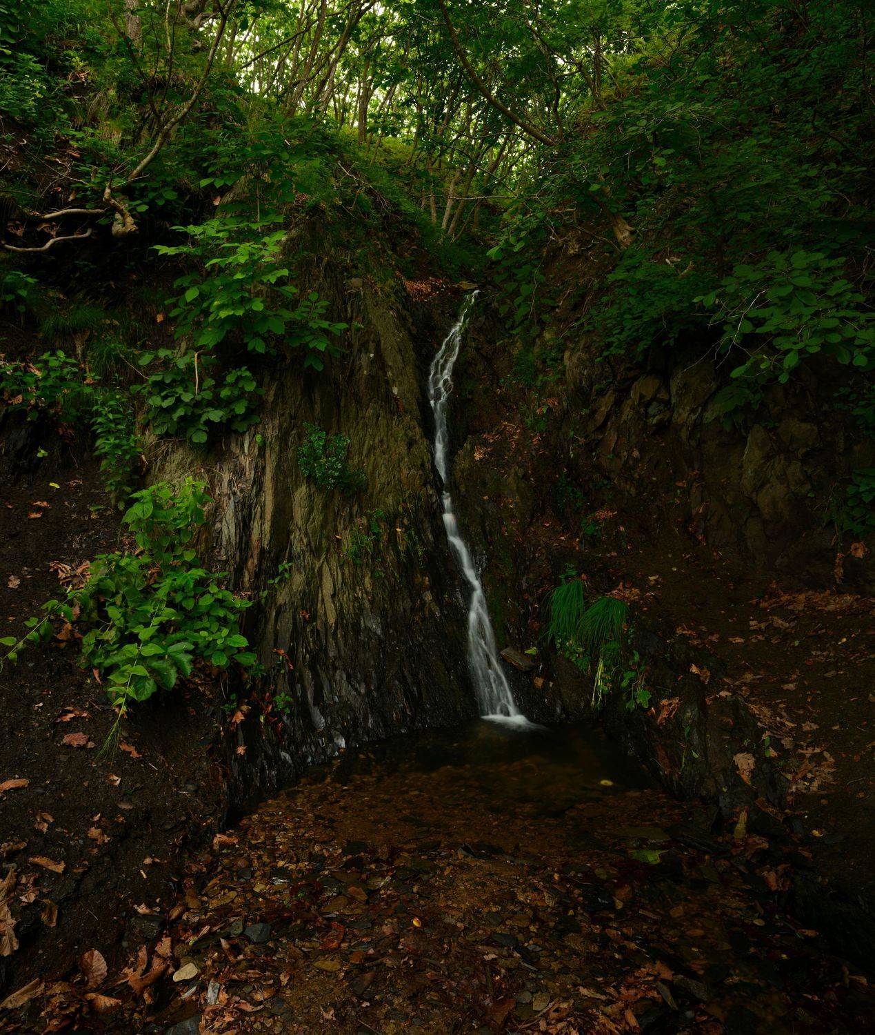 , Едуш Сергей