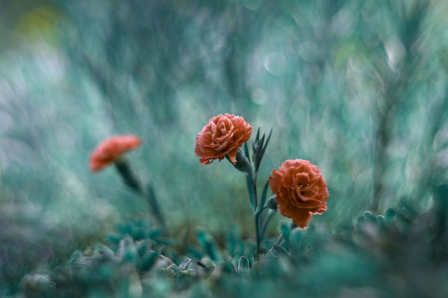 , Эдуард Колобошников