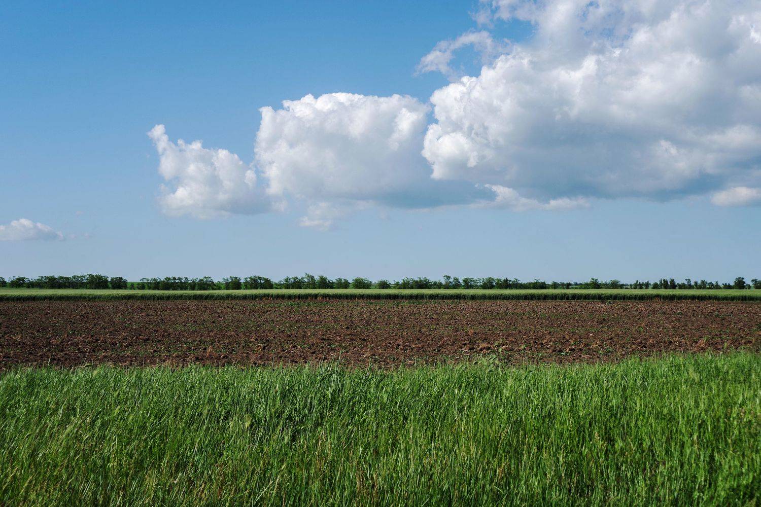 , Ольга Беккер