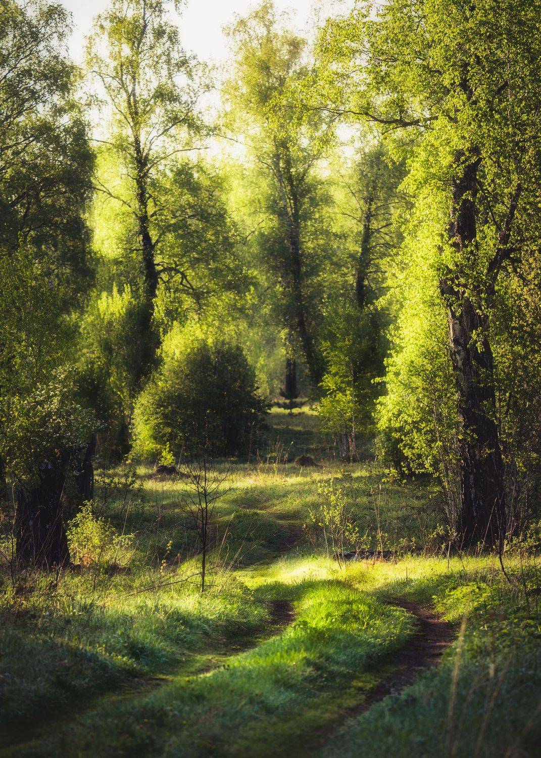 , Важенин Евгений