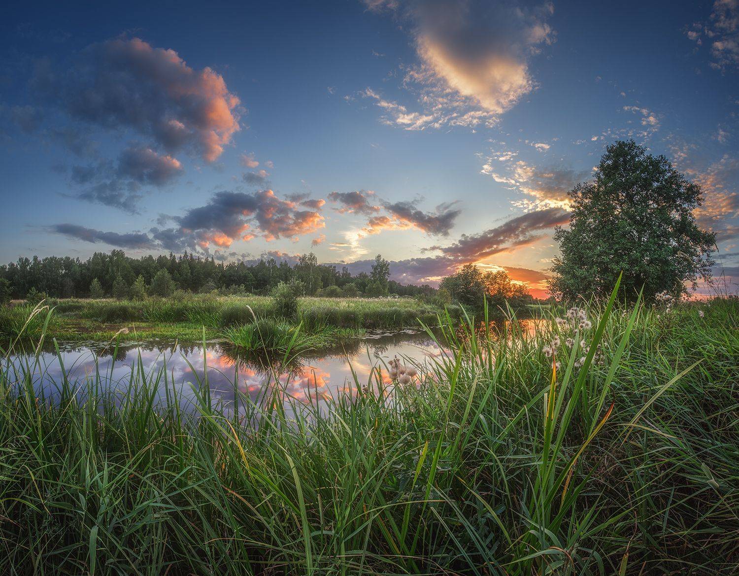 , Николай Андреев
