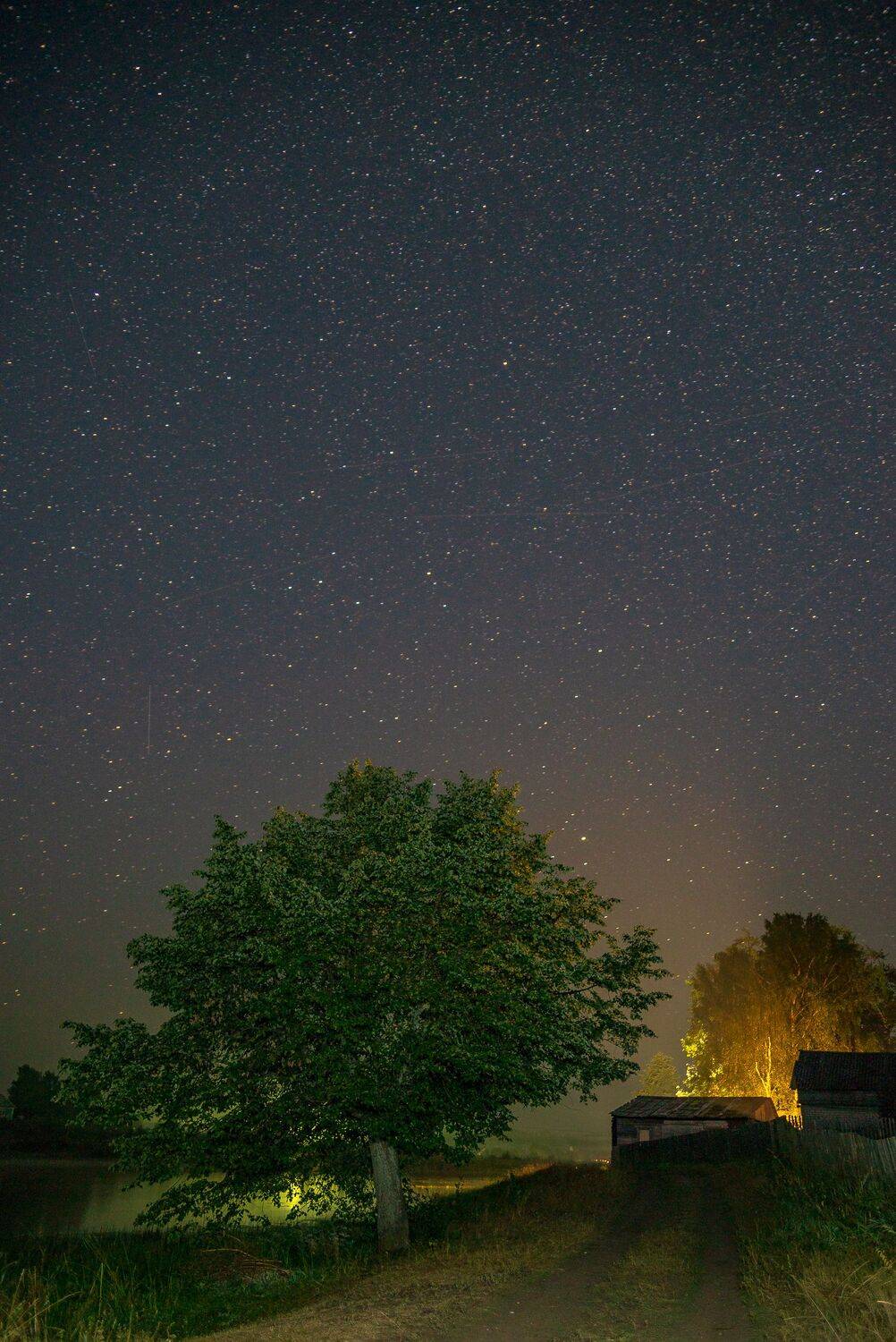 , Алексей Шуплецов