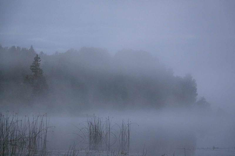 Утренний туман фото превью