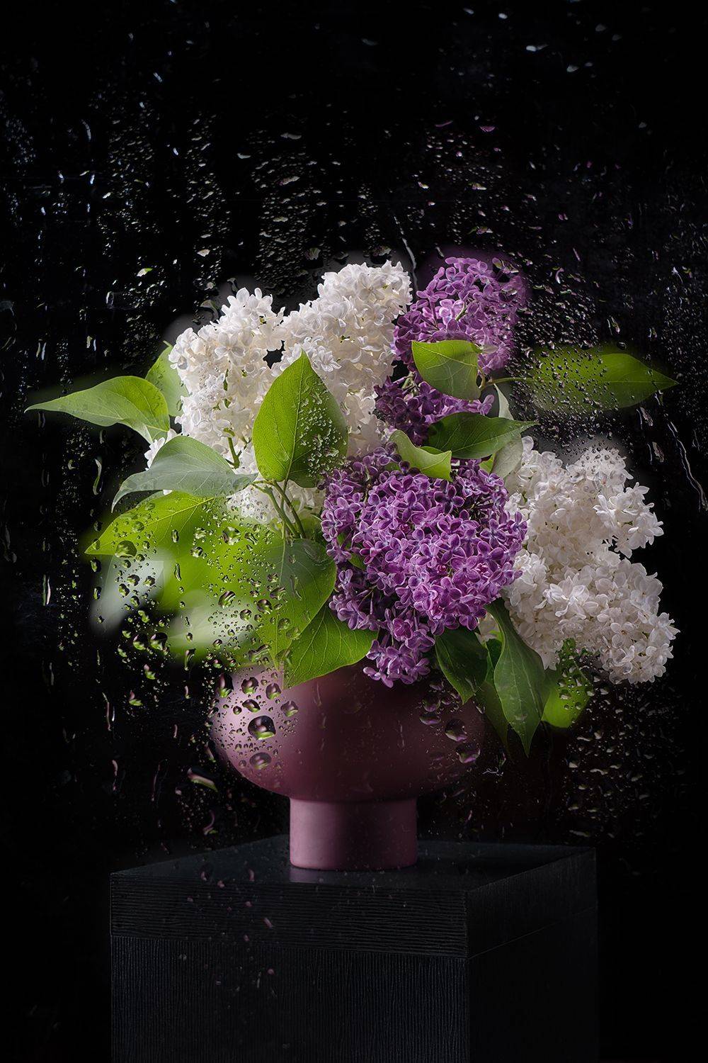 сирень, цветы, натюрморт, Ольга ЯR