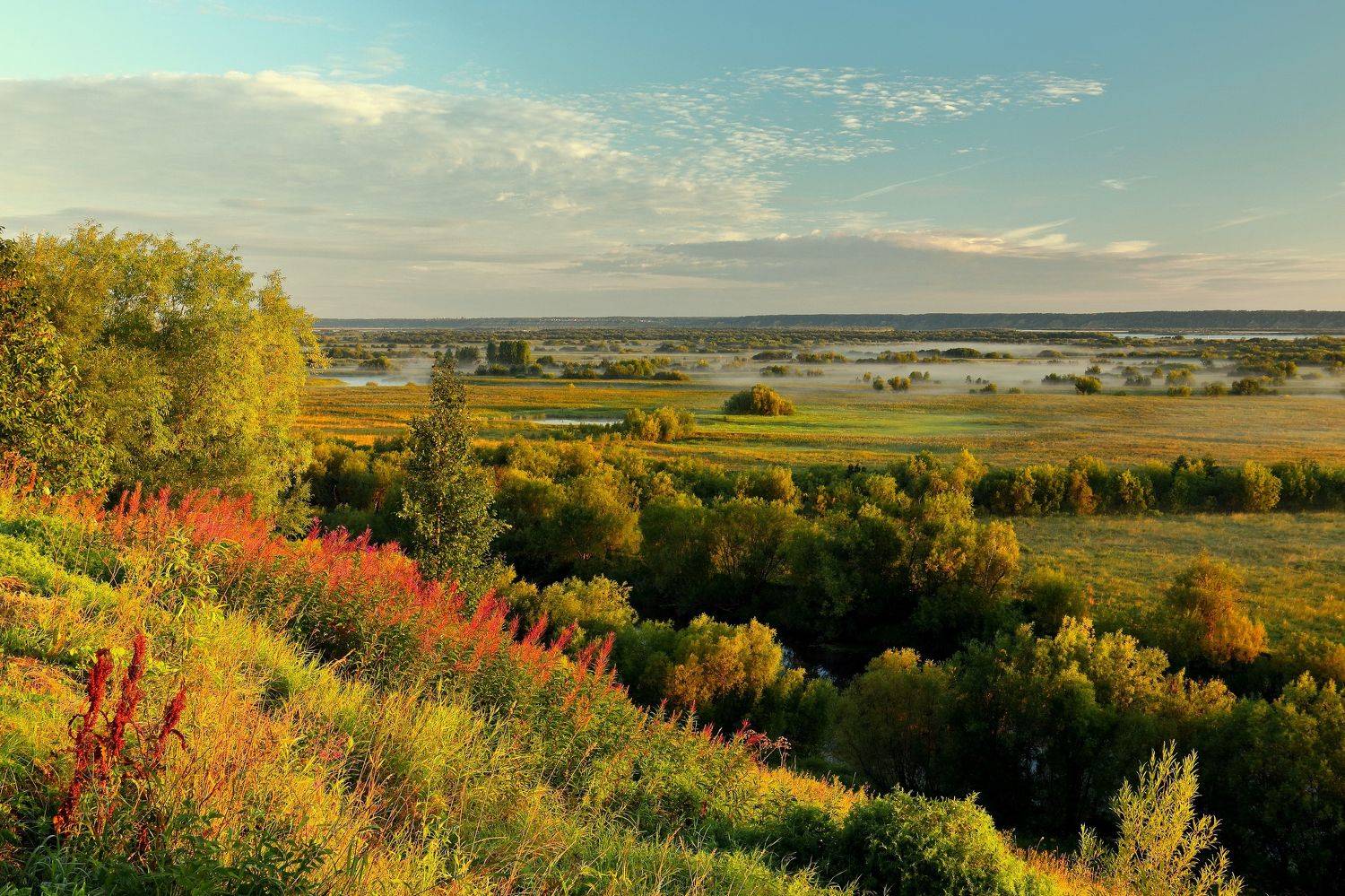 природа, август, утро, рассвет, луг, туман, лето, Титов Александр