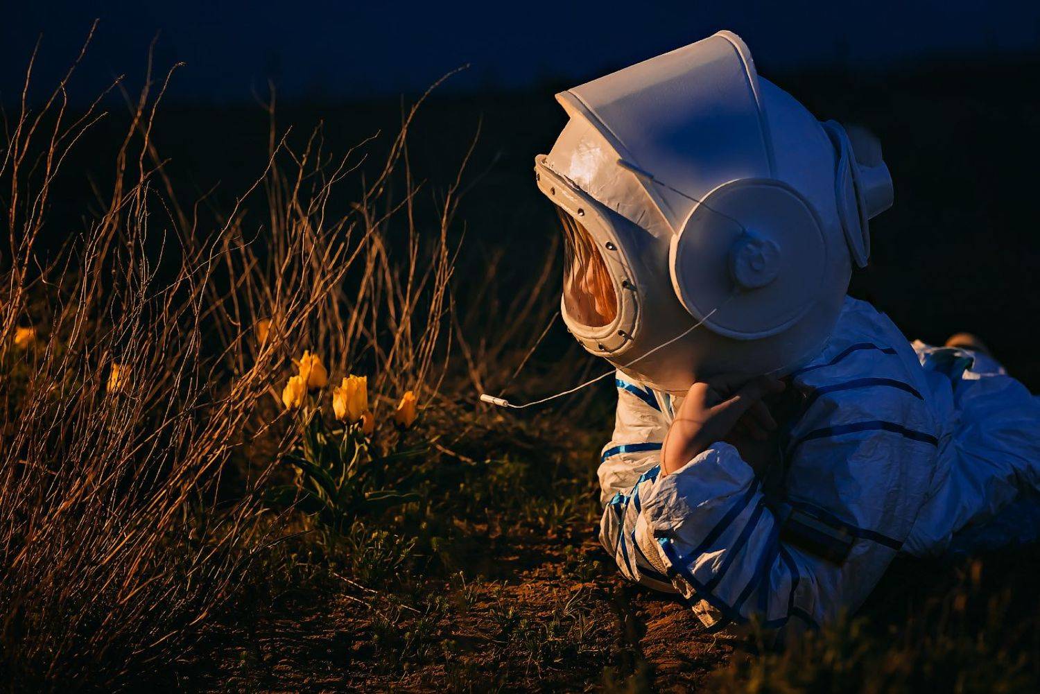 , Дарья Шевченко