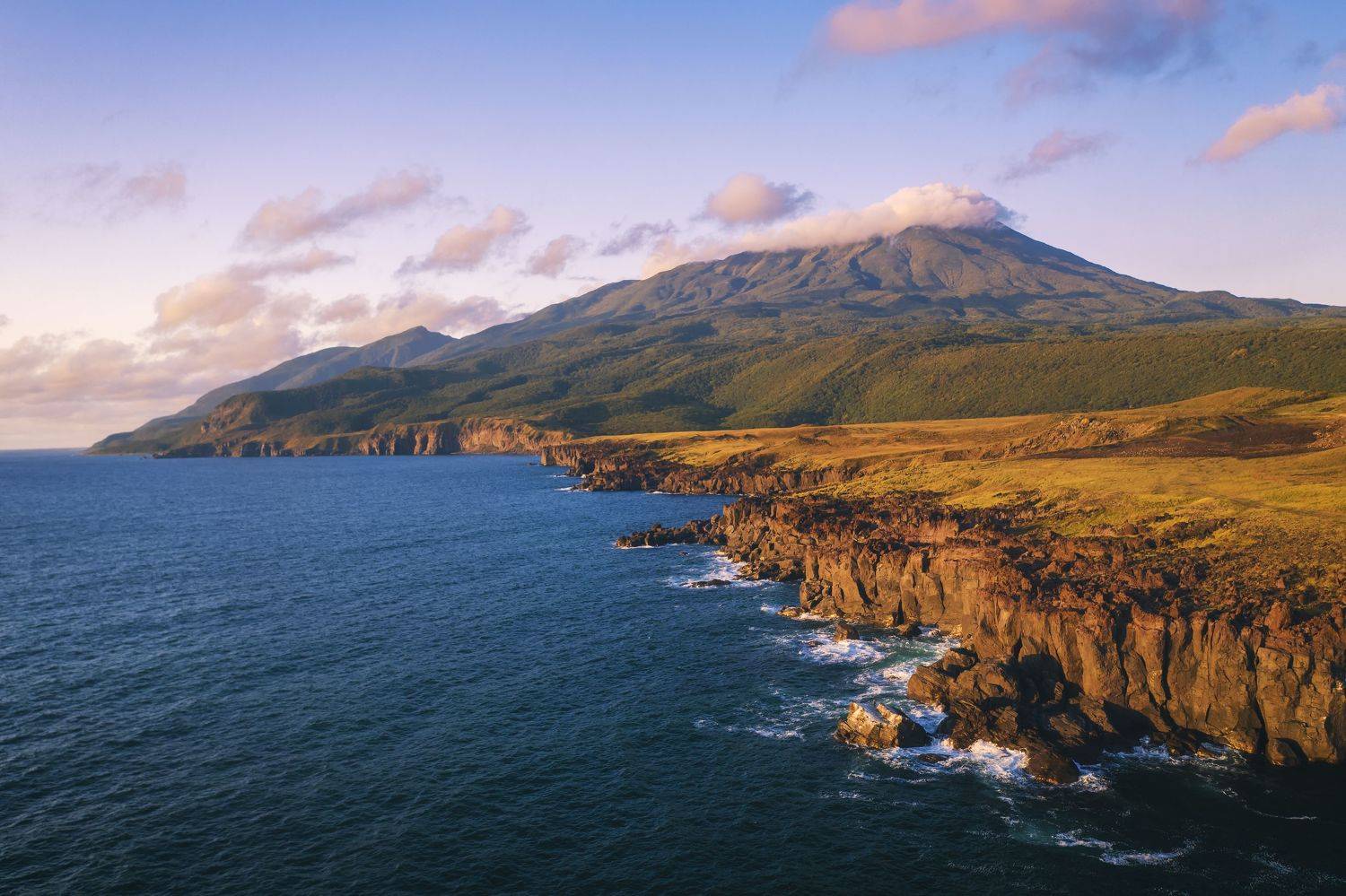 , Разум Митя