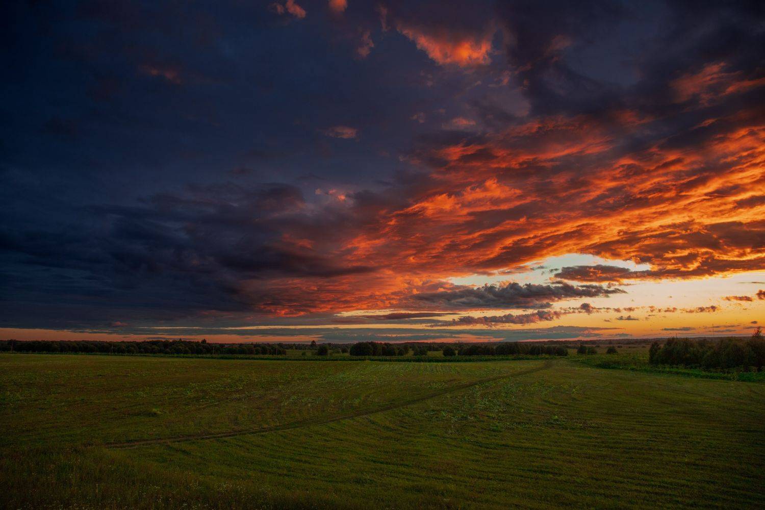 закат, Герасимова Елена