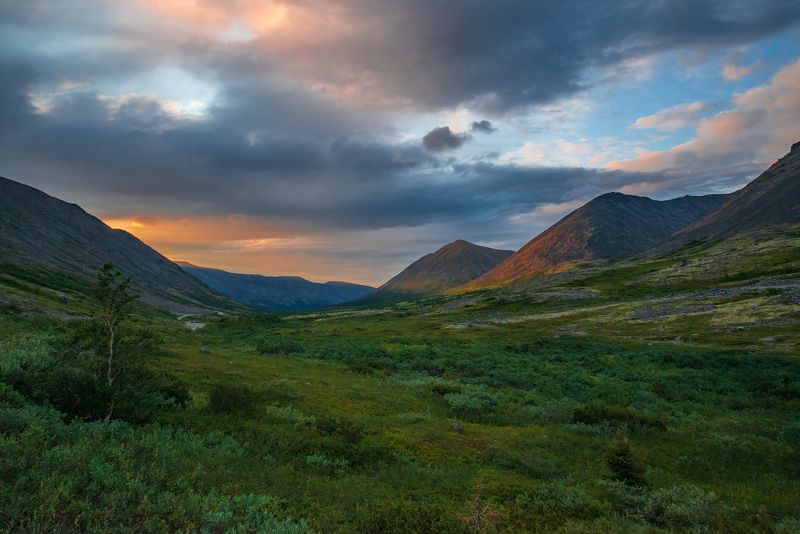 *** фото превью