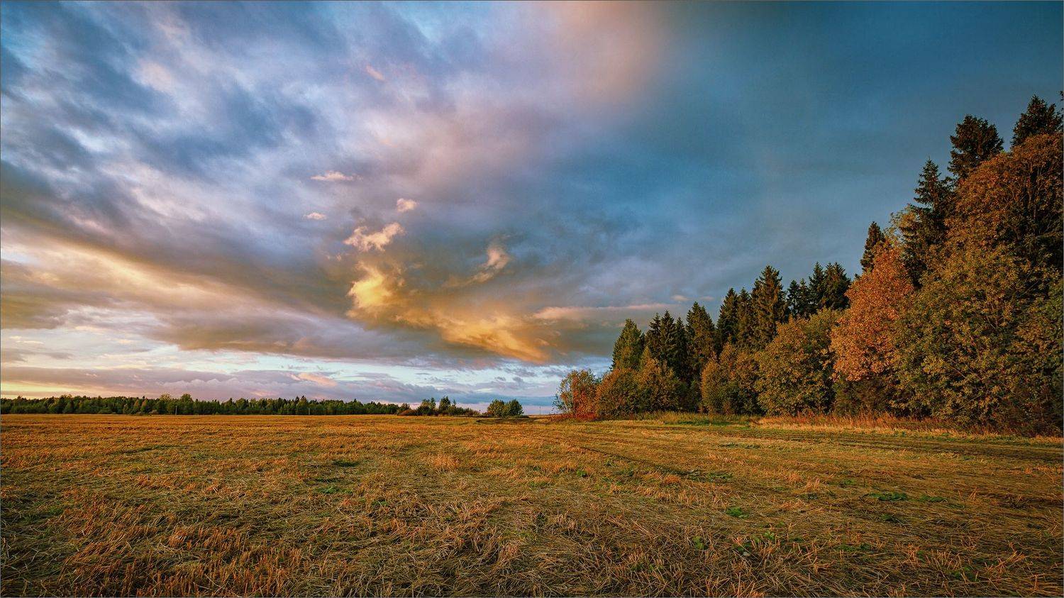 пейзаж, вечер, свет, цвет, деревня, осень, александр никитинский, Никитинский Александр