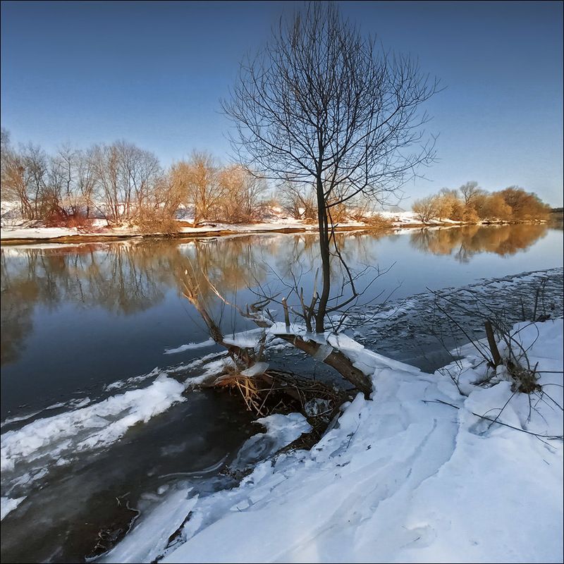 звенигород, москва-река Берега.... фото превью