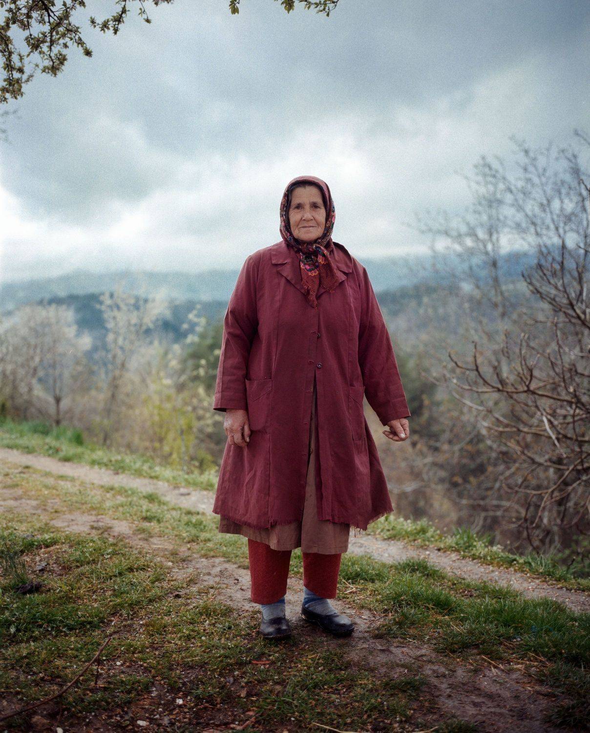 , Karamazov Vladimir