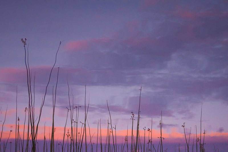 На закате фото превью